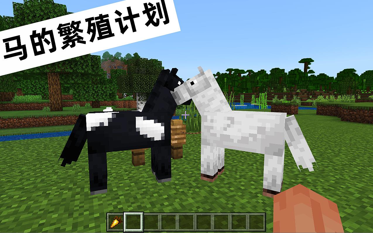 我的世界基岩版1.19.70马繁殖有什么改进（Minecraft 1.19.4修复了什么bug）--第2张