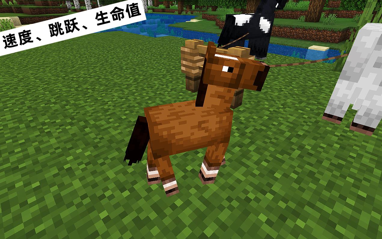 我的世界基岩版1.19.70马繁殖有什么改进（Minecraft 1.19.4修复了什么bug）--第3张