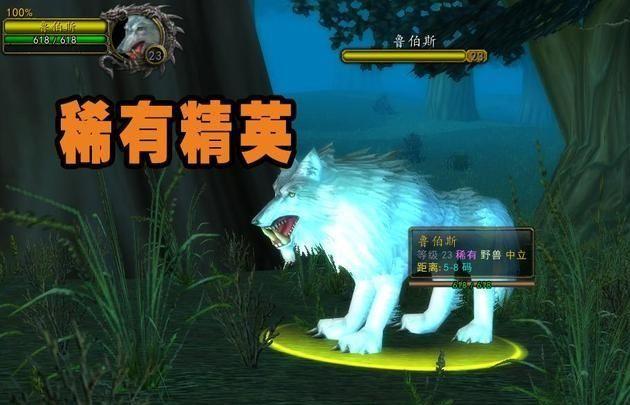 魔兽世界猎人稀有宝宝大全（魔兽世界60版本猎人稀有宝宝）