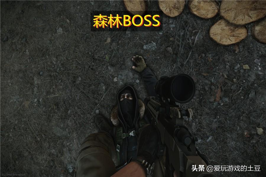 逃离塔科夫boss刷新点（逃离塔科夫储备站森林BOSS图鉴）