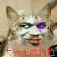 怪物猎人世界随从猫装备用哪个好（怪物猎人世界随从猫该如何培养）