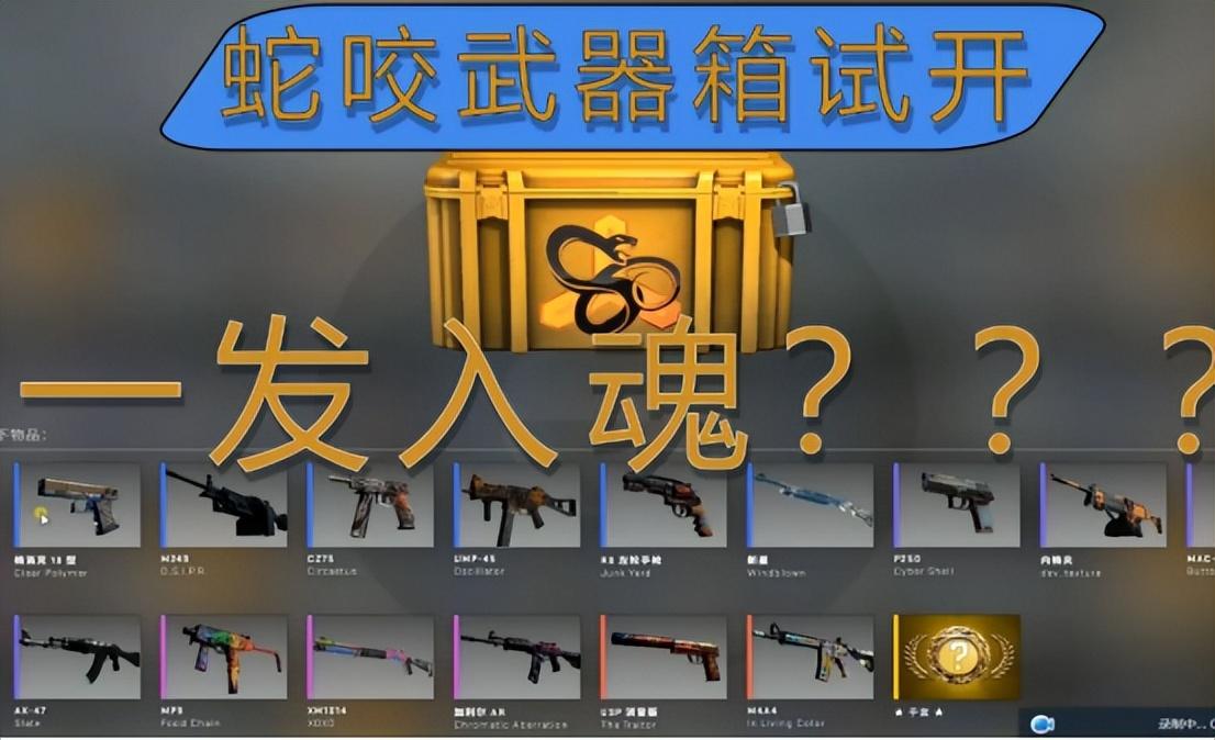 csgo的箱子可以买吗（csgo箱子适合新手的有哪些）