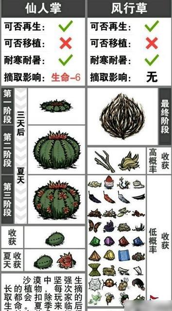 饥荒巨人国跳世界需要带什么（饥荒巨人国小知识）